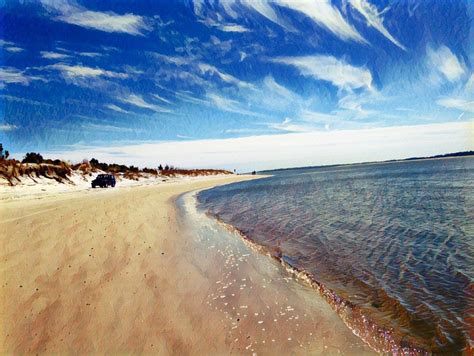 Amelia Island state park | Amelia island state park, State parks, Amelia island