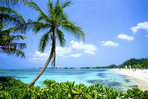 Top 14 beaches in The Bahamas - Lonely Planet