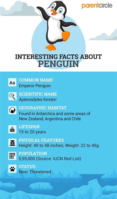 Penguin Facts for Kids: Interesting & Fun Information About Penguins ...