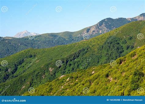 Corsica mountains stock photo. Image of ecosystem, france - 16530288