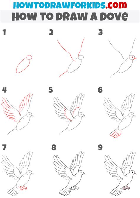 Dove Bird Drawing For Kids