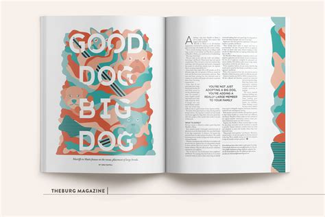 PUBLICATION DESIGN on Behance