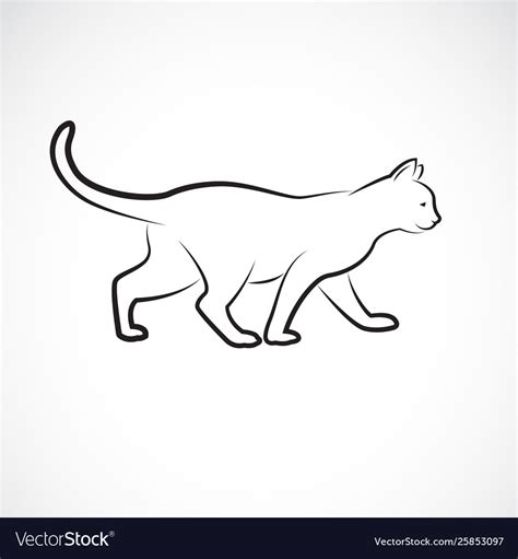 Cat walking on a white background pet animals Vector Image