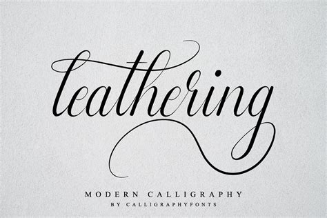 Free calligraphy script fonts - holfofficial