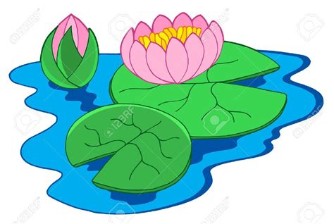 Water lily water clipart - Clipground