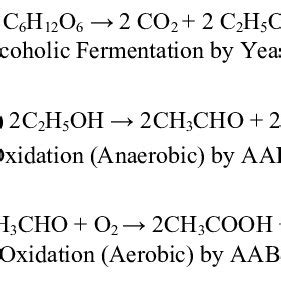 Recommendation Yeast Fermentation Equation Lyfe Support Blogspot