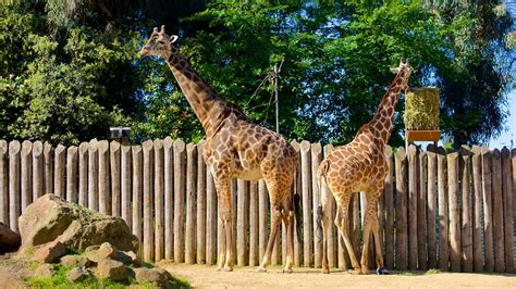 Sacramento Zoo in Sacramento, California | Expedia