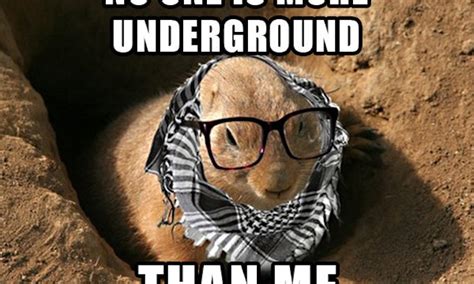 10 Groundhog Day Memes That Celebrate The Ridiculousness Of This Tradition