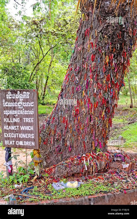 Killing tree, killing fields, Phnom Penh, Cambodia, death destruction ...