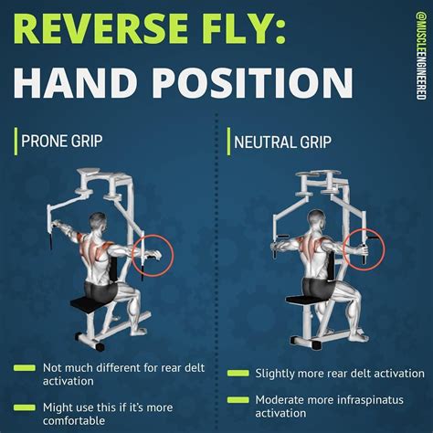 rear delt fly machine hand position - Rosalee Lombardo