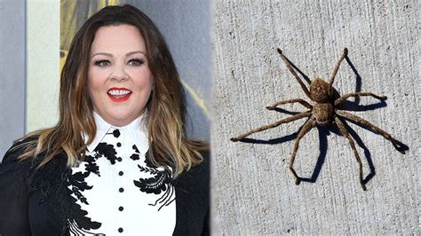 Melissa McCarthy hospitalised following terrifying Huntsman spider bite ...