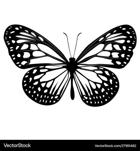 Black butterfly Royalty Free Vector Image - VectorStock