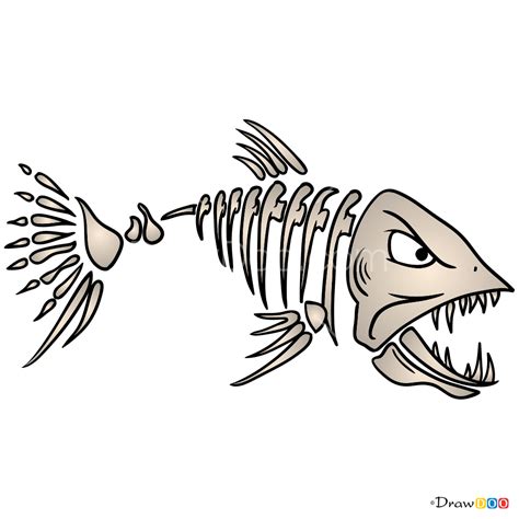 Fishbone Fish Drawings Fish Clipart Cartoon Fish | Images and Photos finder