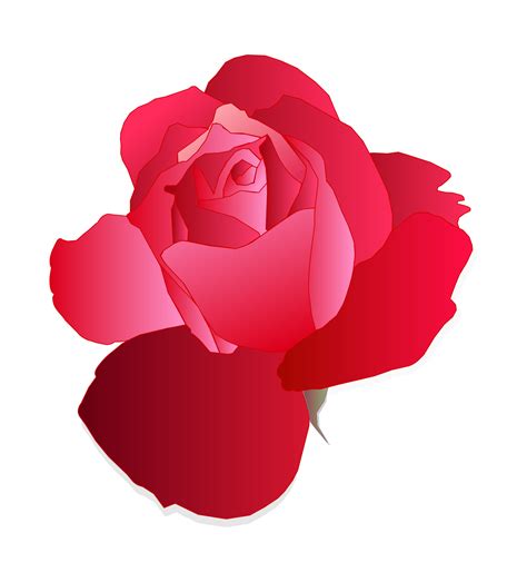 Clipart - Red Rose