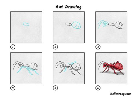 Ant Drawing - Torres Legreasing