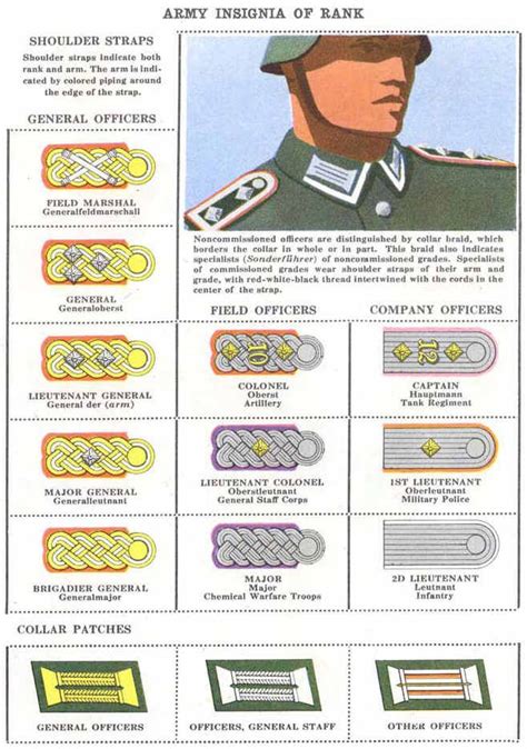 Pin on Nazi Ranks