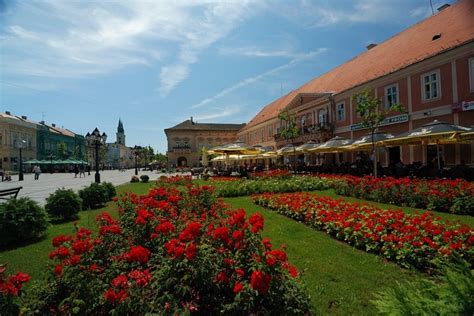 1000+ images about Sombor on Pinterest | Parks, Church and Main street