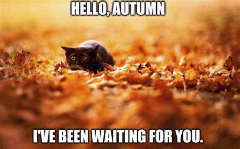 These Memes Are For All Of You Who Are Waiting For Fall - Is It Fall Yet? | Memes