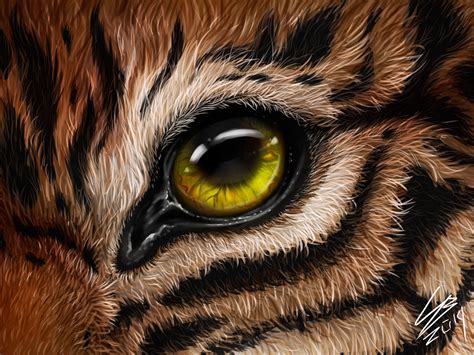 Tiger's eye by Victoria Sokolova on Dribbble