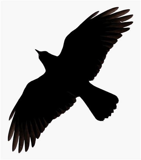 Flying Crow Raven Clip Art - Raven Flying Silhouette, HD Png Download ...