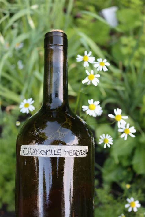 How to Make Herbal Wine (& Mead) — Practical Self Reliance