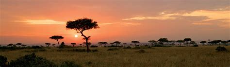 Tanzania Wildlife Safari | EF Go Ahead Tours