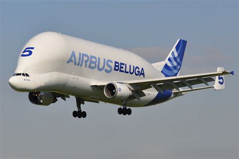 Airbus Beluga Wallpaper