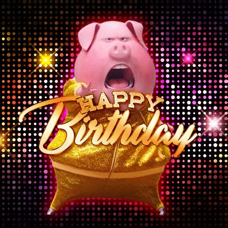 Pig funny happy birthday gif | Birthday Star