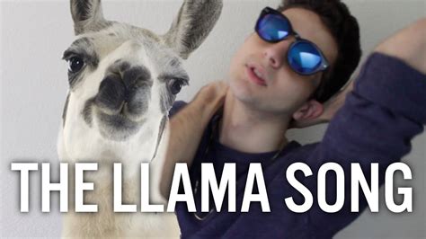 Happy Llama