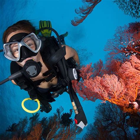 Deep Sea Divers Den: Cairns PADI Open Water Dive Course