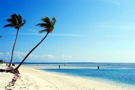 Little Stirrup Cay (Cruiseline Private Island), Bahamas Cruise Port - Cruiseline.com