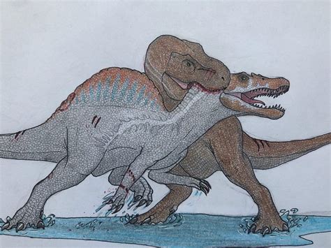 Spinosaurus Vs T Rex Drawing