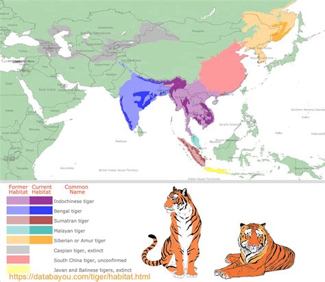 Bengal Tiger Distribution Map - Infoupdate.org