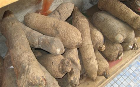 Nigeria set to surpass Ghana in annual yam export ―Minister | FINANCIAL WATCH - Business News in ...