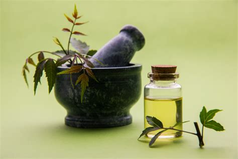 Benefits of Neem Oil - iSkinCareReviews