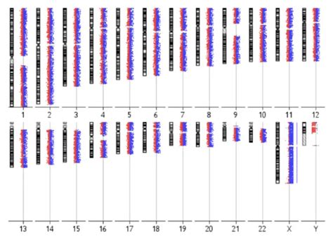 What is an SNP Array?- A Brief Overview – Genetic Education