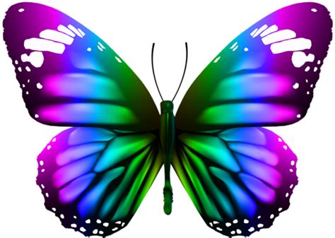 Goodinfo: Realistic Butterfly Clipart Black And White