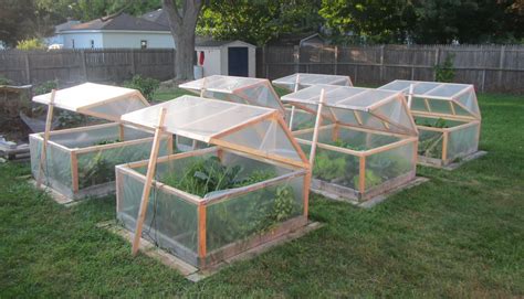 These are my mini greenhouses for winter gardening. They open for venting; they close for ...