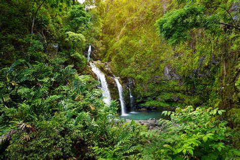 Maui Waterfalls You MUST Visit That Will Blow You Away!