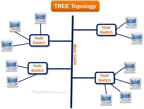 Tree Topology Png