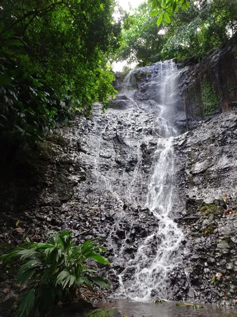 The 5 Most Beautiful Waterfalls in Dominica