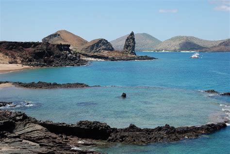 Phoebettmh Travel: (Ecuador) – Galápagos wildlife spotting: why you ...