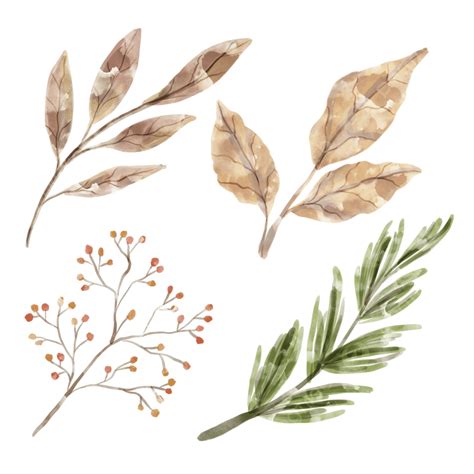 Autumn Leaves Watercolor Aesthetic, Autumn, Leaves, Aesthetic PNG Transparent Clipart Image and ...