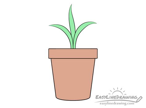 How to Draw a Plant Pot Step by Step - EasyLineDrawing