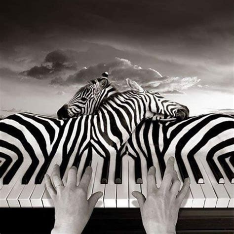 Surreal Art By Thomas Barbey