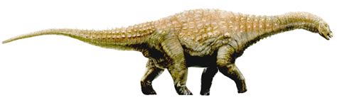 10 Famous Australian Dinosaurs | Paleontology World