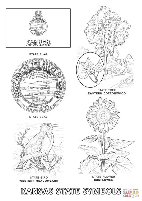 Kansas State Symbols coloring page | Free Printable Coloring Pages