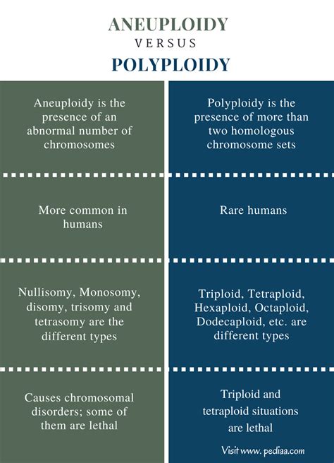 Difference Between Aneuploidy and Polyploidy | Definition ...