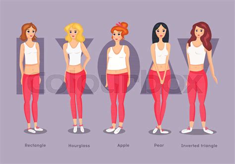 Set of Female Body Shape Types. | Stock vector | Colourbox