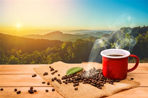 Morning cup of coffee and coffee beans with mountain background at sunrise. Beauty mountain ...